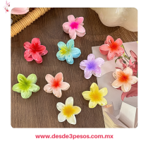 Bolsa con 12 Pinza en forma de Flor de plastico en colores 8 x 8cm ZY-203
