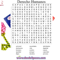 Libro de Sopa de Letras 24 hojas 27 X 21cm.