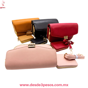 Bolsa Vinil con Metal dorado en Orilla incluye Monedero 1 divicion ambos 21 x 16 y 10 x 16 cm varios tonos LD0661