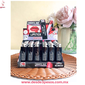 Labial FAVOR BEAUTY en Tonos Mate Larga Duraci