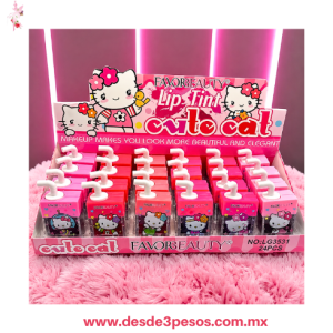 Tinta para Labios en forma de Paleta FAVOR BEAUTY 6 x 4 cm. LG3531